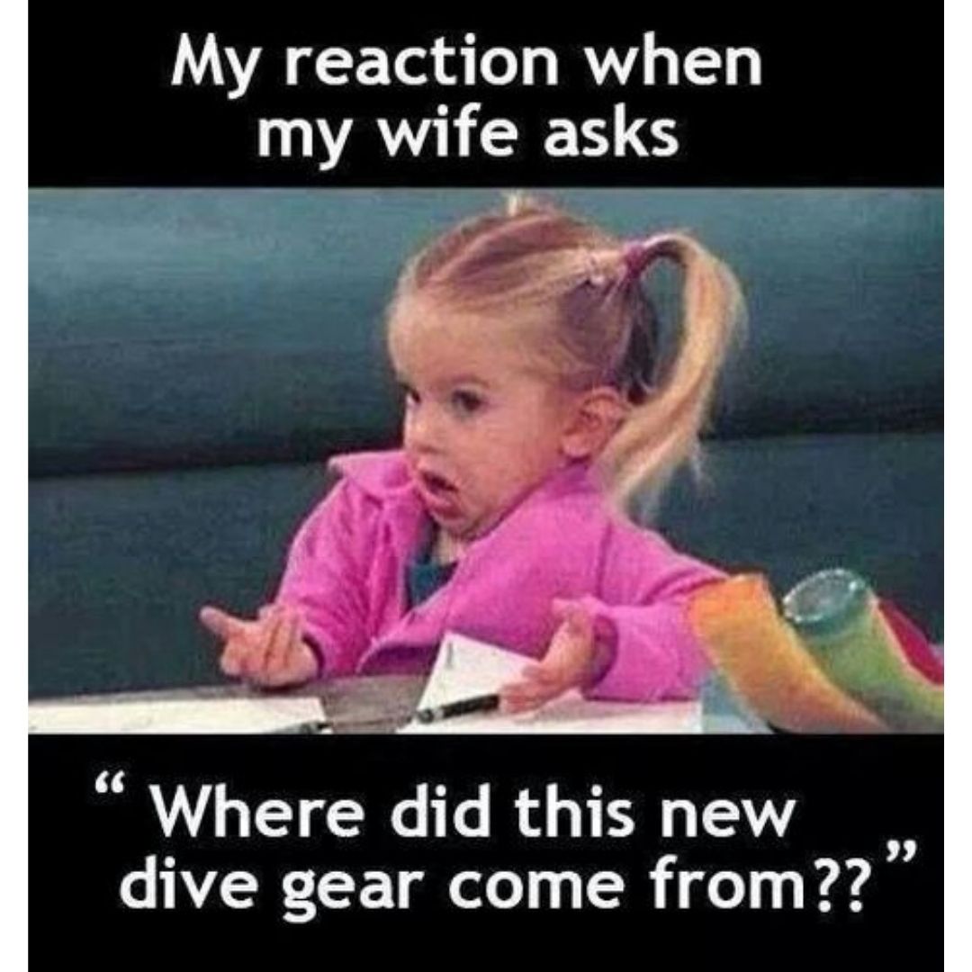 Dive gear scuba diving meme