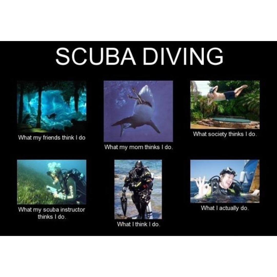 Scuba diving funny scuba diving meme