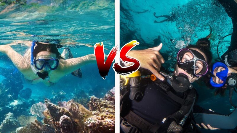Which Of The Following Indicates Scuba Diving Or Snorkeling 